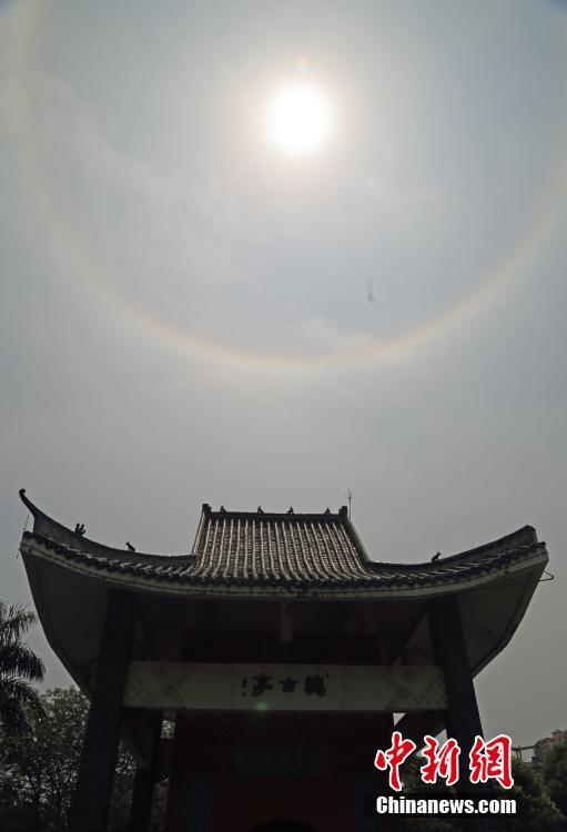李丽珍的禁片