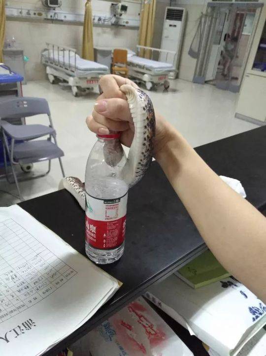 免费黄色Av簧片