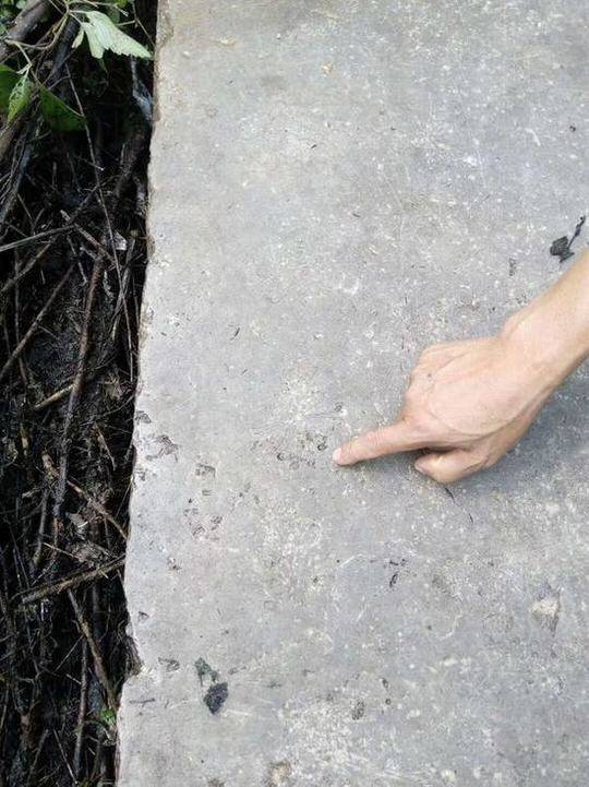 在线观看黄色黄片
