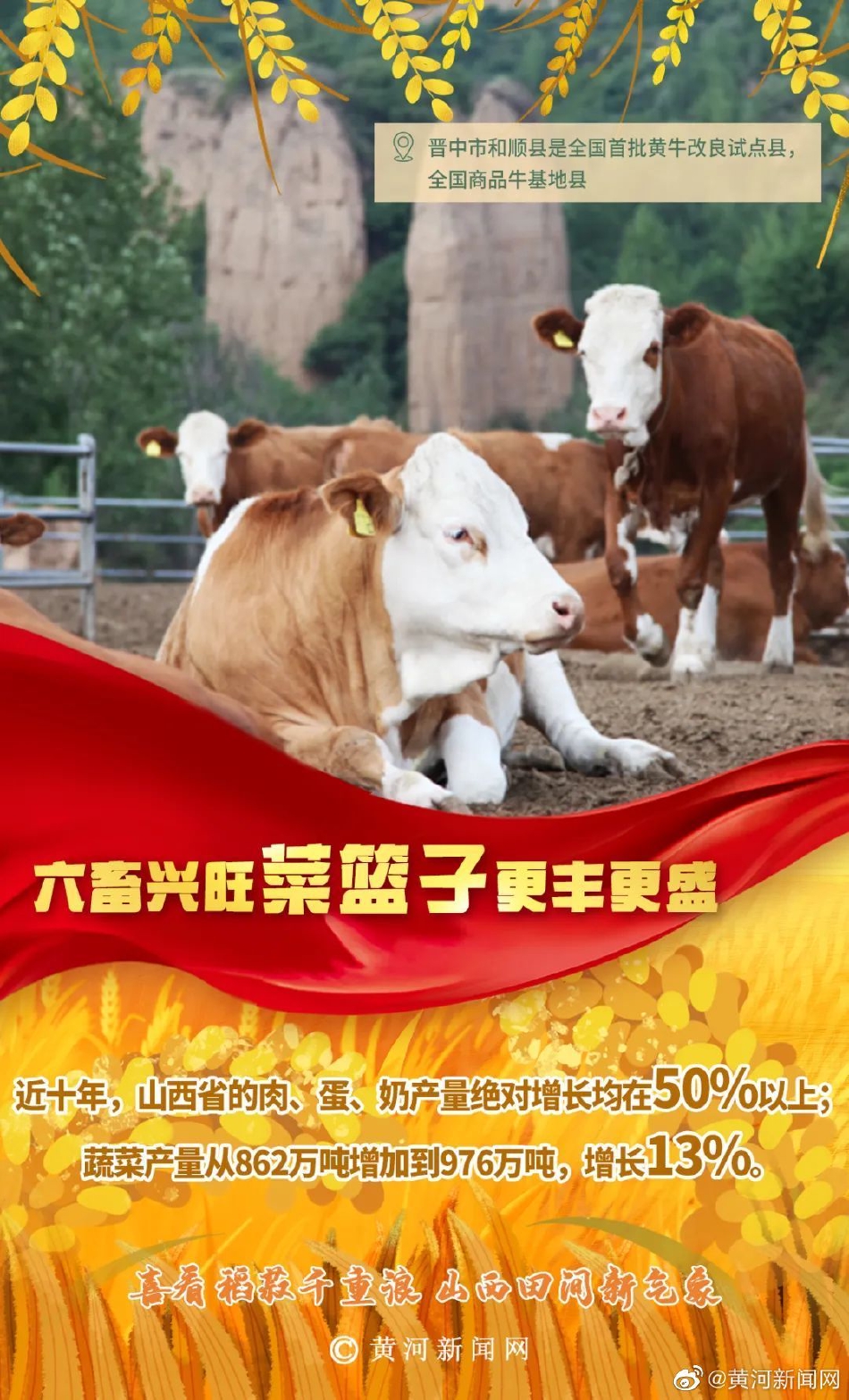 黄色 视频 在线 免费 观看