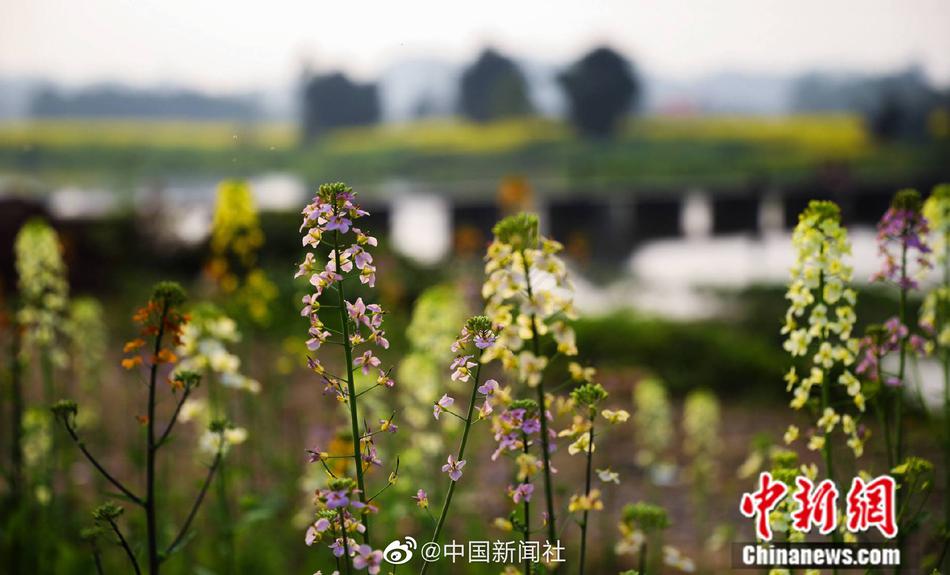 鞭打+玩弄+跪趴+调教+抹春药