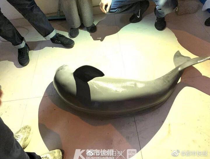 与亲女洗澡时伦了2次