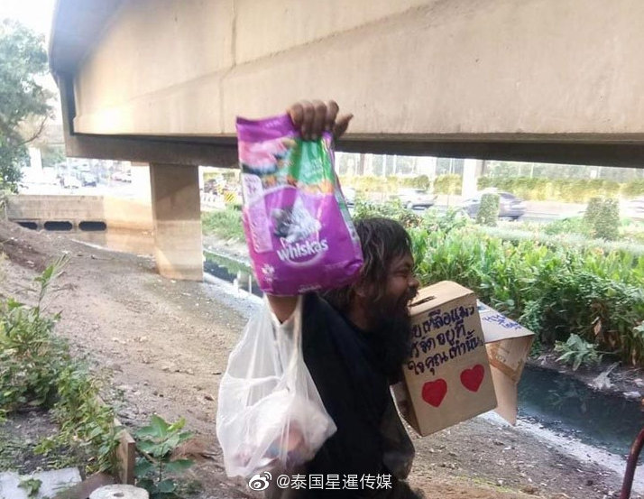 天天干天天操天天