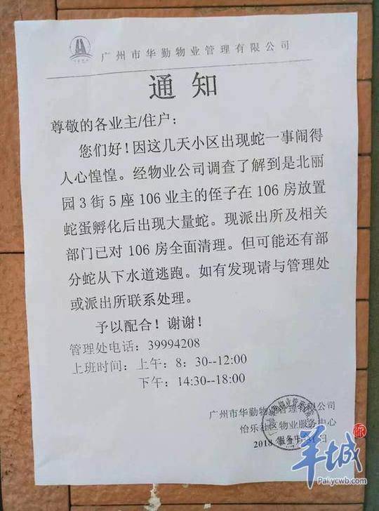 哪里有免费黄色网站视频