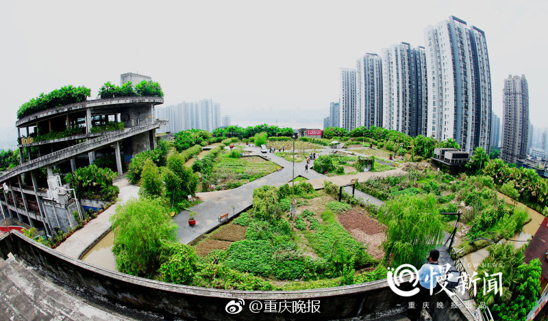 中国三级∥片