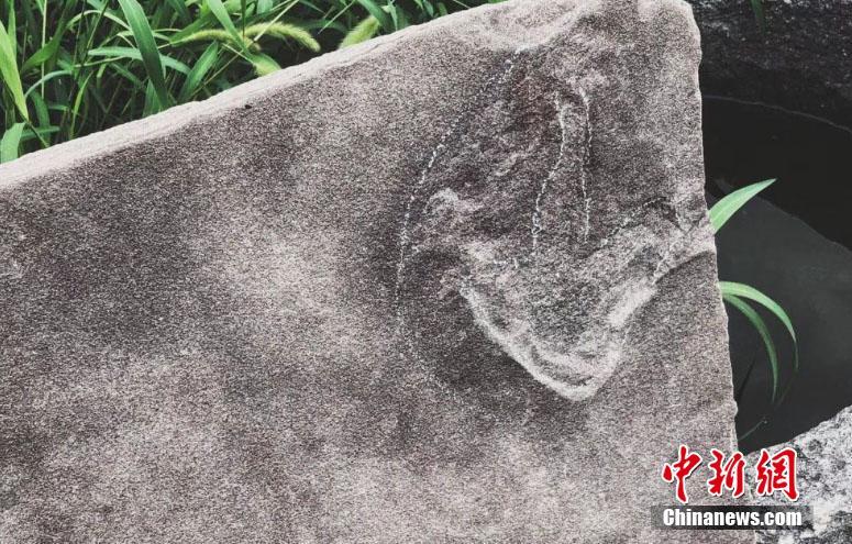 黄色网站看黄色片