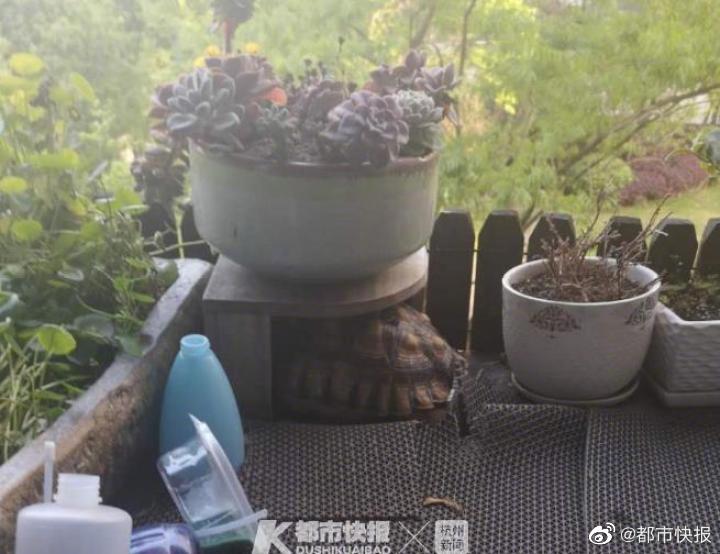 福利久久