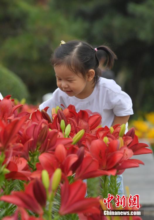 越南少妇性色Xxxxx