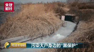 亚洲熟女 Av