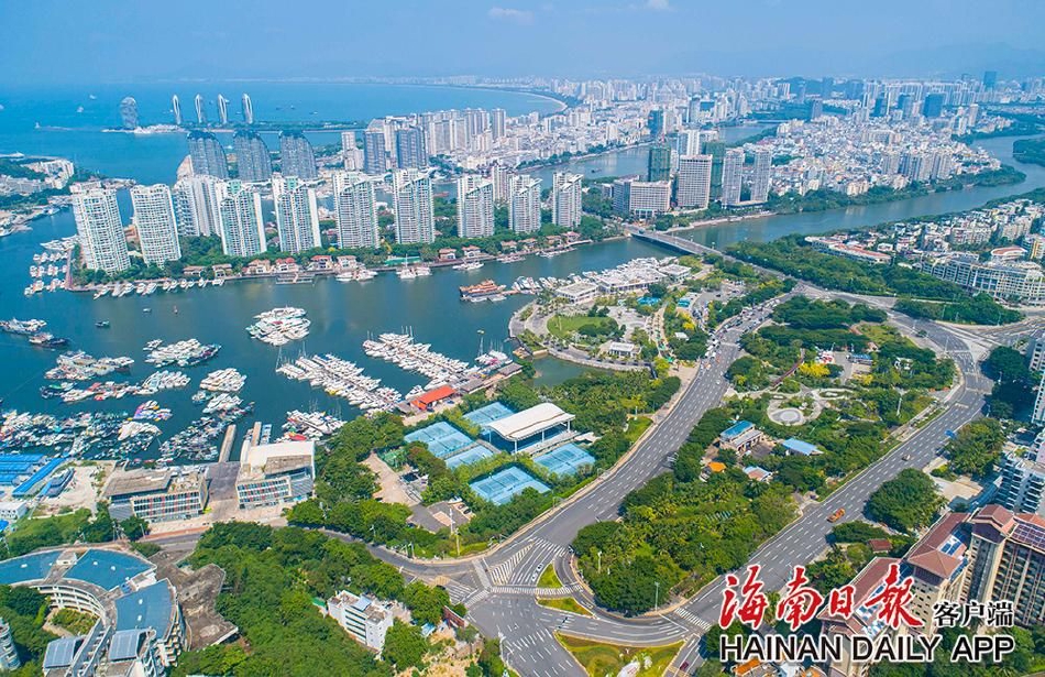 免费黄色视频激烈