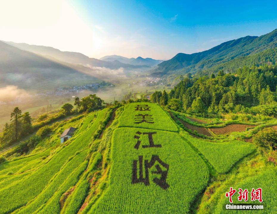 搞机time下载不用不收钱嘉兴直接打开