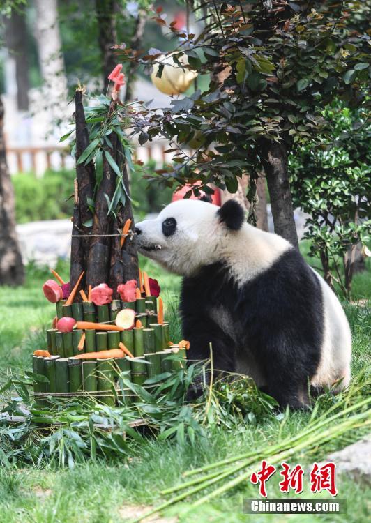 免费 观看 性爱 视频