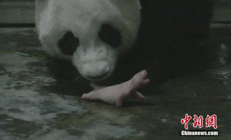 黄色一级片