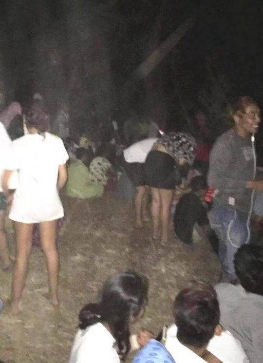 叼嘿软件