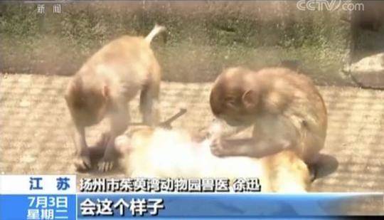 国产乡下三 片