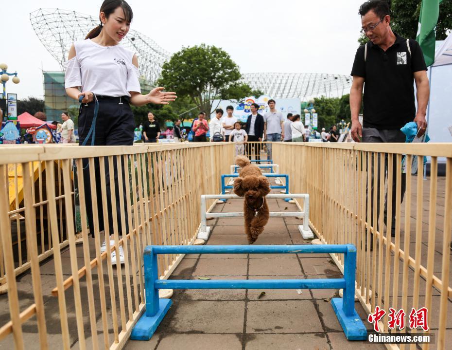 尤娜林