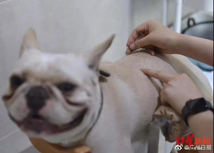 一级毛片范冰冰视频