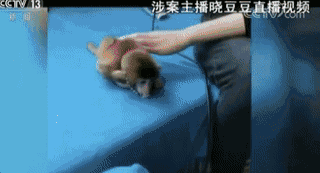 我想观看夫妻性生活-级黄片