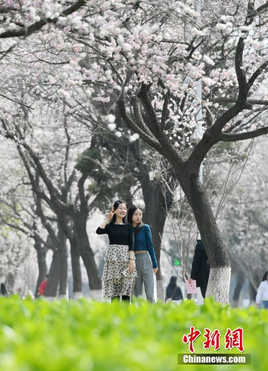 Free性河南玩弄少妇Hd