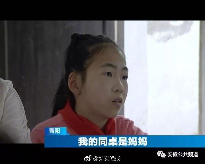 成人 电影 介绍
