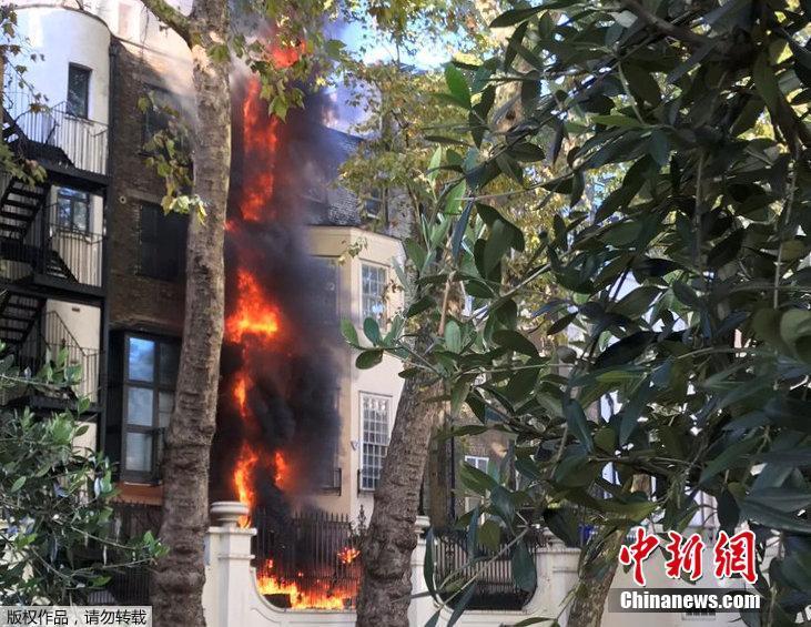 看看女人跟狗操逼的视频吧