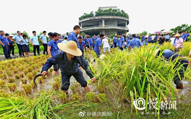 蘑菇mogu免费登录入口