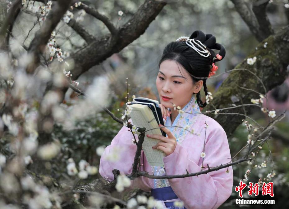 女人与公猪交交zozo
