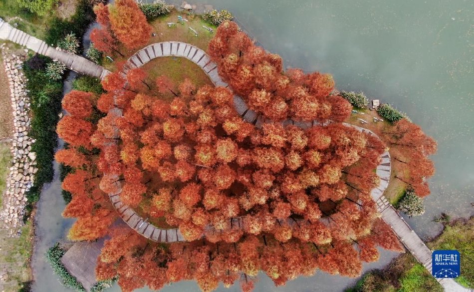 张柏芝手扒自己下面图