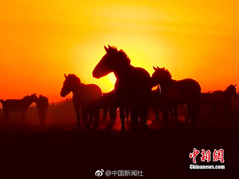 农民伯伯乡下妹国语2的背景故事