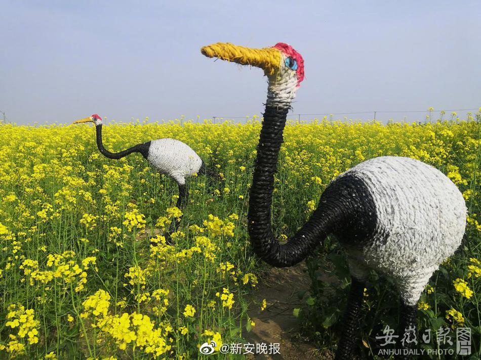 51国精产品自偷自偷