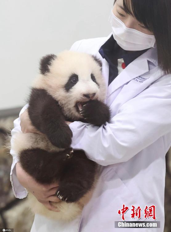91成人 在线观看喷潮数学