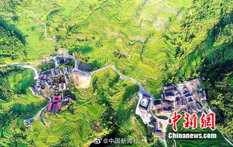 苏晴公交车被强好爽小说
