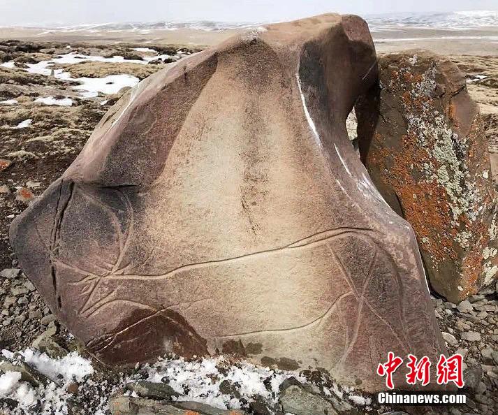 Xxxx电影网