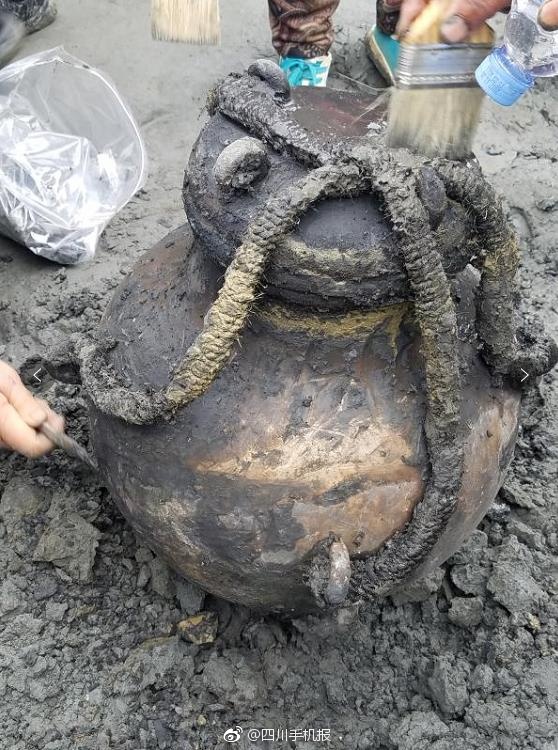 寻访“海龟天堂”：中国最大的海龟产床什么样？