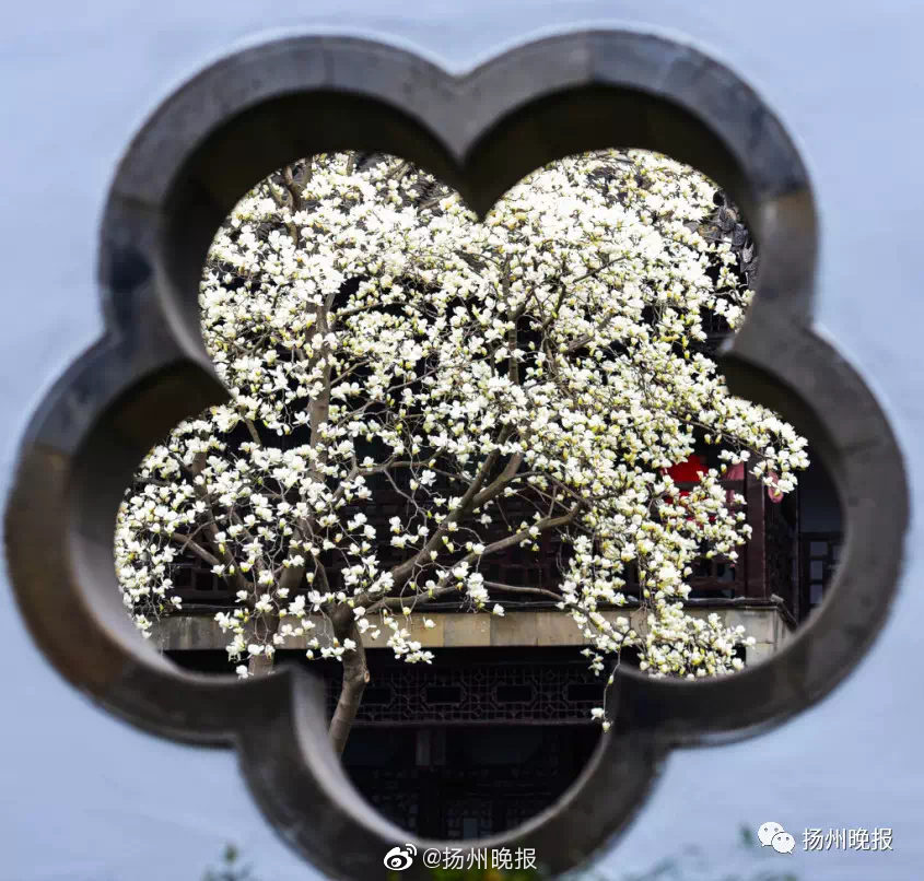 班花脱裤子让我 进去动漫