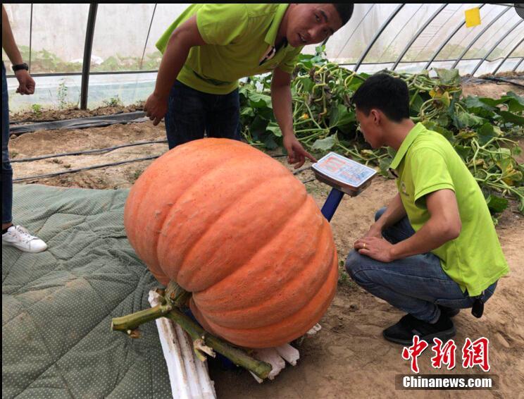 女走光露私部