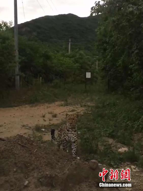 黄色视频黄色片-百度