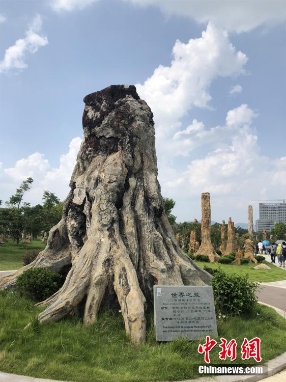 一级黄色生活片