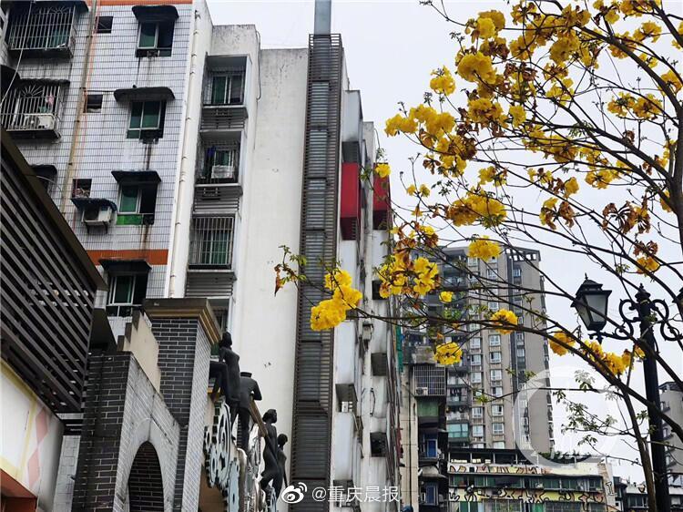 和姐姐做爱