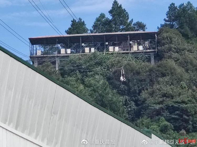 Xzl仙踪林国精产品