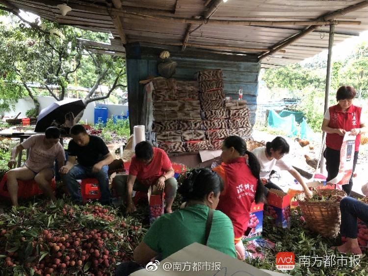 香蕉视频污污污