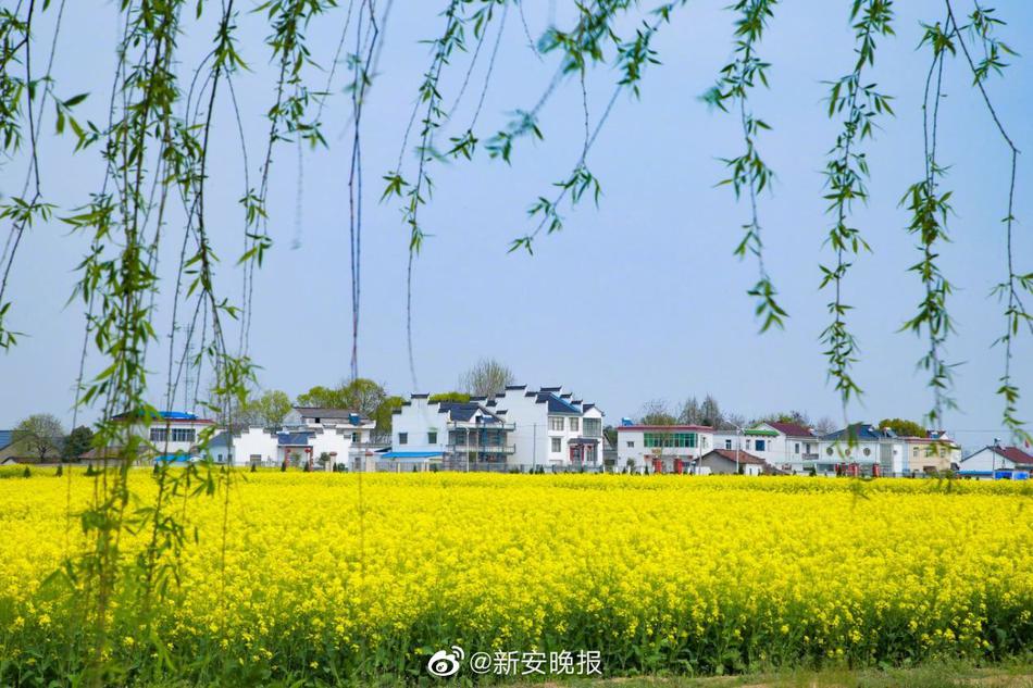 露脸走光XXⅩXXX合集