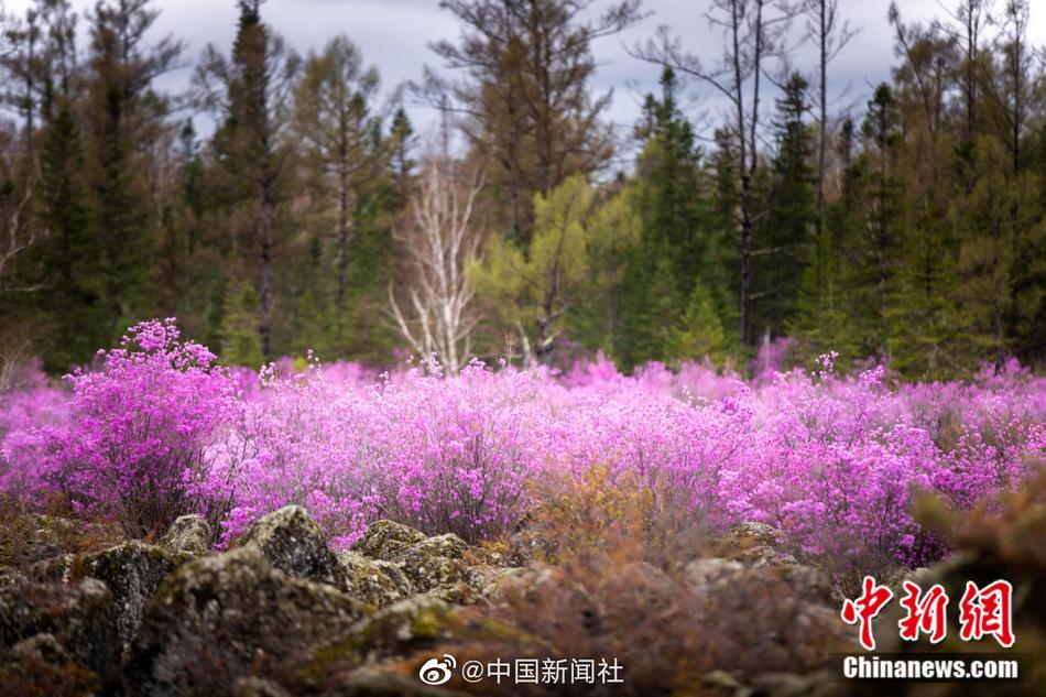 美熟婦高跟鞋??性另類Hd