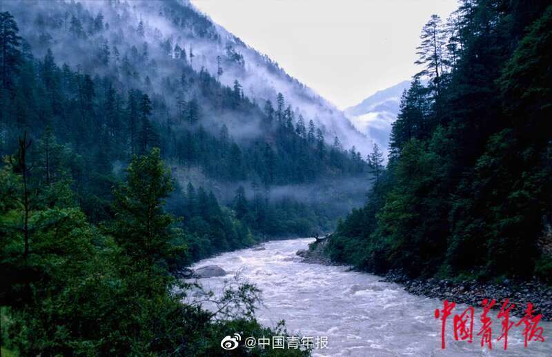 扣逼软件