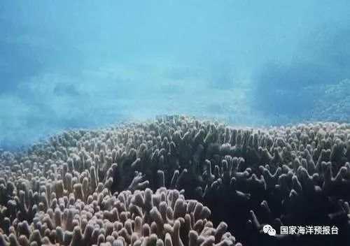 日本大屁股色情片