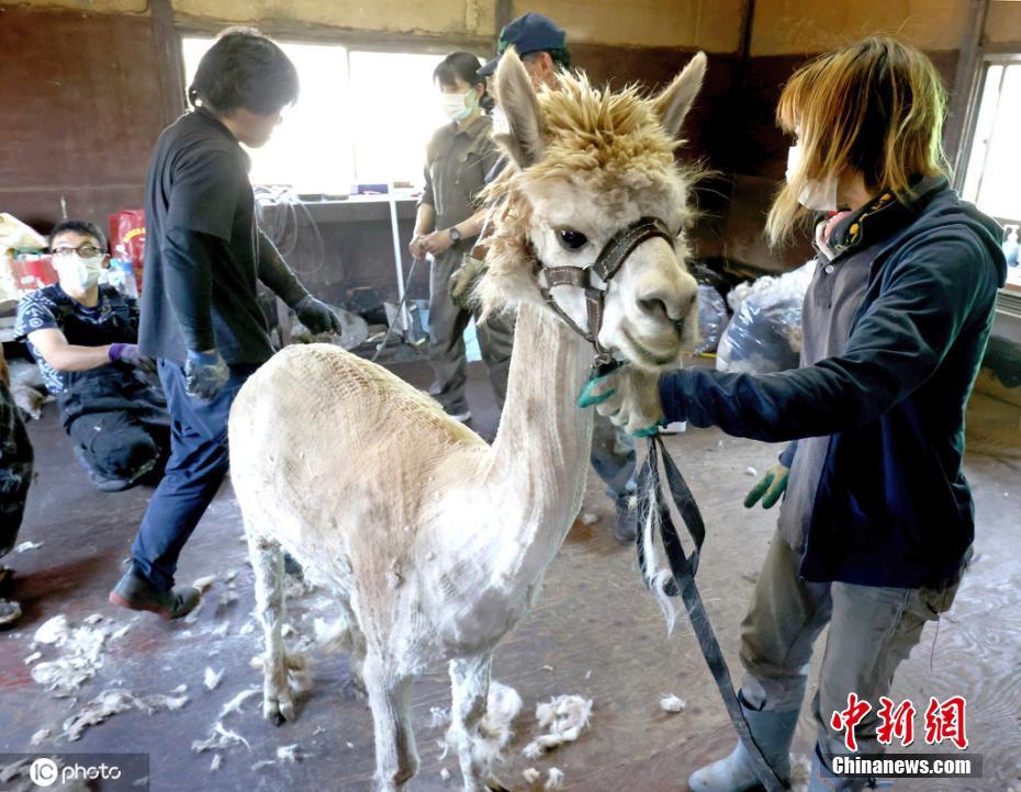 中国做受   影片