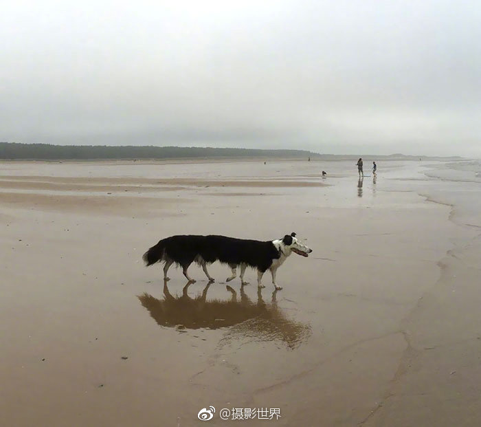性感直播