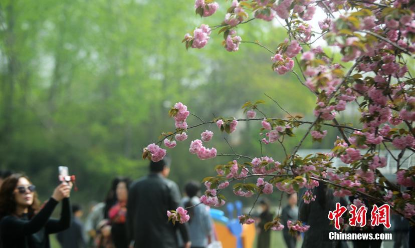 激情亚洲