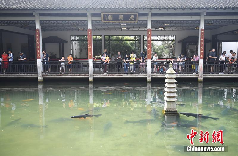 白鹿哭着喊着不能再快乐了