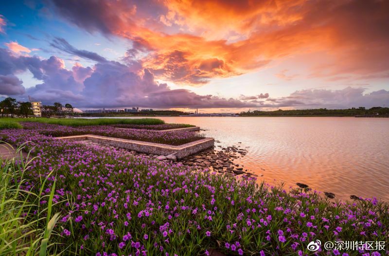又粗又大又爽A片免费看天美集团